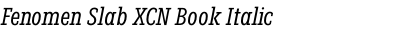 Fenomen Slab XCN Book Italic